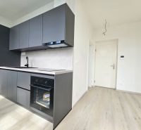 Küchenzeile mit eingebautem Ofen und Bodenbelag in Holzoptik in einer Einzimmerwohnung.