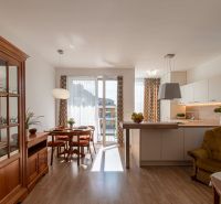 Wohnzimmer mit Küche in einer 2-Zimmer-Wohnung, Boden mit Holzdekor, Esstisch.