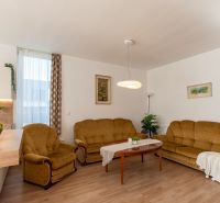 Wohnzimmer einer Zweizimmerwohnung mit Sofas, einer Pflanze und einem Boden in Holzoptik.