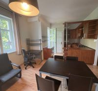 Wohnbereich mit Küche und Esstisch in einer 2-Zimmer-Wohnung, Boden mit Holzdekor.