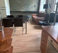 Innenraum einer 2-Zimmer-Wohnung mit Holzboden und einer Steinwand im Wohnzimmer.