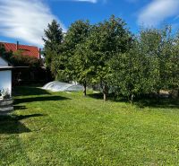 Der Garten des Einfamilienhauses in Čalovec mit einem Pool und Obstbäumen.