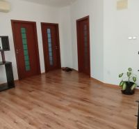 Innenraum eines Einfamilienhauses mit Holzboden, Regal und Pflanze.