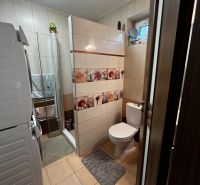 Badezimmer in einem Einfamilienhaus mit Waschmaschine, Duschkabine und Toilette.