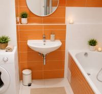 Badezimmer in einem Studio-Apartment mit orangefarbenen Fliesen, Waschbecken und Badewanne, Pflanzen zur Dekoration.