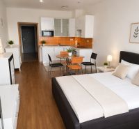 Einzimmerwohnung mit Küchenzeile, Holzboden und einem Bett in neutralen Farben.