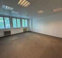 Ein leeres Büro mit neutralem Teppichboden und großen Fenstern, die Tageslicht hereinlassen.
