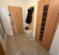 Innenraum einer 2-Zimmer-Wohnung mit Kleiderschrank, Fliesen und einem bequemen Teppich.