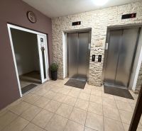 Eingangshalle mit zwei Aufzügen in einer 2-Zimmer-Wohnung auf der P.O. Hviezdoslava in Topoľčany.