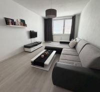 Wohnzimmer in einer Zweizimmerwohnung mit Holzboden und grauem Sofa.