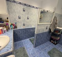 Badezimmer mit blauen Fliesen und einem Regal in einer Zweizimmerwohnung mit Toilettenartikeln.