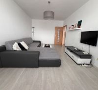 Wohnzimmer in einer 2-Zimmer-Wohnung mit Sofa, Fernseher und Holzboden.