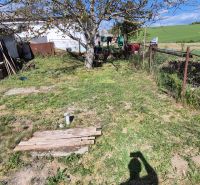 Ein Garten bei einem Einfamilienhaus im Dorf mit einem Baum und einem Zaun auf dem Land.