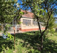Ein Einfamilienhaus im Dorf, umgeben von einem Garten mit Obstbäumen, blauer Himmel.