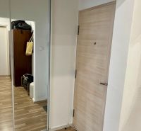 Flur mit Holzboden, Spiegelschrank und hellen Türen in einer 2-Zimmer-Wohnung.