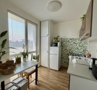 Küche in einer 2-Zimmer-Wohnung mit Pflanzen und einem Boden in Holzoptik.