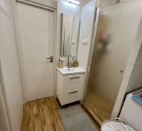Badezimmer in einer 2-Zimmer-Wohnung mit Holzdekorboden, Duschkabine und Waschbecken.