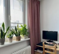 Ein Zimmer mit einem Tisch, einem Monitor, Pflanzen auf der Fensterbank und einem bordeauxroten Vorhang in einer Zweizimmerwohnung.