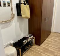 Flur in einer 2-Zimmer-Wohnung mit Garderoben, Schuhschrank und Schrank, Boden mit Holzdekor.