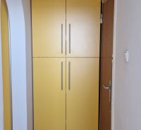 Der Flur mit einem gelben Einbauschrank und einem Boden mit Holzdekor in einer Zwei-Zimmer-Wohnung.
