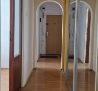 Flur in einer 2-Zimmer-Wohnung mit Holzboden und einem Spiegelschrank.