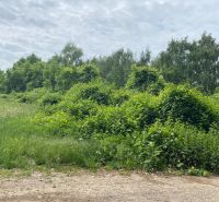 Grundstücke - Wohnen in Stupava in der Rímska-Straße, umgeben von dichter Vegetation und Gras.