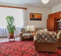 Wohnzimmer in einem Einfamilienhaus mit bequemer Couch, Teppich und Zimmerpflanzen.