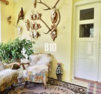 Interieur eines Einfamilienhauses mit Jagdtrophäen, Pflanzen und bequemen Sesseln.