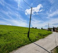 Ein Weg entlang der grünen Wohngebiete in Fintice unter blauem Himmel.
