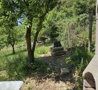 Das Grün in der Umgebung der Hütte in Budatín, natürliche Umgebung, Bäume und Stein.