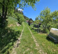 Ein von Grün umgebener Weg führt zu einer Hütte in Budatín.