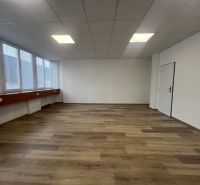 Büros mit hellen Wänden und einem Holzboden, verglaste Fenster und eine weiße Decke.