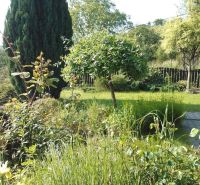 Ein Garten bei einem Einfamilienhaus mit üppiger Vegetation und gepflegtem Rasen.