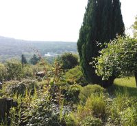 Ein Garten mit vielfältiger Vegetation bei einem Einfamilienhaus in Karlova Ves in der Karloveská Straße.