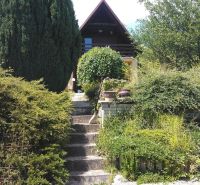 Grün und Treppen führen zu einer Hütte zwischen den Bäumen in einem Einfamilienhaus.