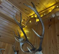 Holzinterieur mit Jagdtrophäen und Lichterketten in einem Einfamilienhaus.
