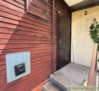 Eingang zur Holzhütte in Nové Zámky mit Kletterpflanzen an der Wand.