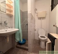 Badezimmer in der Hütte mit Toilette, Waschbecken und Dusche mit türkisfarbenem Vorhang.