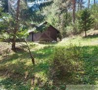 Eine Hütte in Slovenská Ľupča, umgeben von Wald am Hang, wirkt ruhig und natürlich.