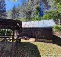 Eine Hütte in Slovenská Ľupča, umgeben von Wald, Pavillon, Brennholz.