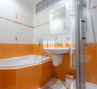 Badezimmer in einer 2-Zimmer-Wohnung mit dominierenden orangefarbenen Fliesen und einer Badewanne.