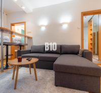 Wohnzimmer mit Sofa, Bartresen und Holzboden in einer Zweizimmerwohnung.