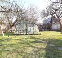 Der Garten eines Einfamilienhauses in Turany mit Gewächshaus und Schaukel, ohne Blätter an den Bäumen.