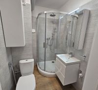 Badezimmer in einem Studio-Apartment mit Holzboden, Duschkabine und Waschbecken.