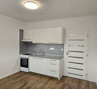 Einzimmerwohnung mit Küchenzeile, weißen Schränken und Boden in Holzoptik.