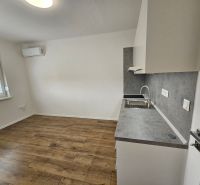 Einzimmerwohnung mit Küchenzeile und Boden in Holzoptik, Klimaanlage und Fenster.