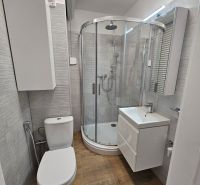 Badezimmer in einem Studio-Apartment mit moderner Dusche, Waschbecken, Toilette und Boden mit Holzdekor.