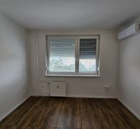 Einzimmerwohnung mit Holzboden, Klimaanlage und Heizkörper.