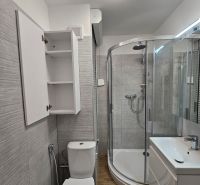 Badezimmer mit Toilette, Duschkabine und Schrank in einem Studio-Apartment mit Holzboden.