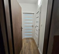 Eingangsbereich eines Einzimmerapartments mit Holzboden und weißen Türen.